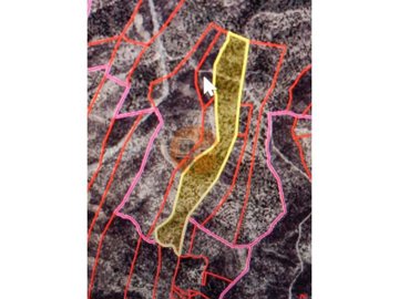 id81946701-0000-0500-0000-000010f9e899