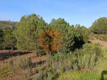 id81946701-0000-0500-0000-0000110e9236