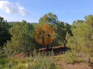 id81946701-0000-0500-0000-0000110e923c