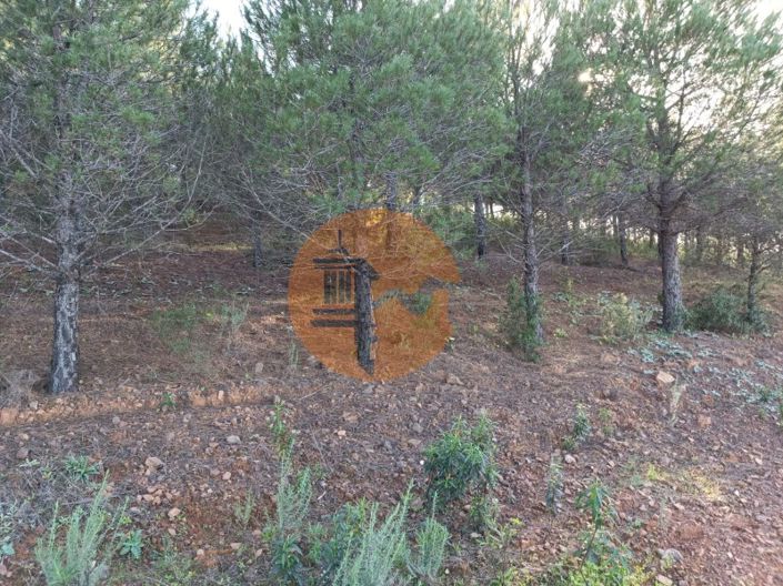 Image No.16-Terrain à vendre à Castro Marim