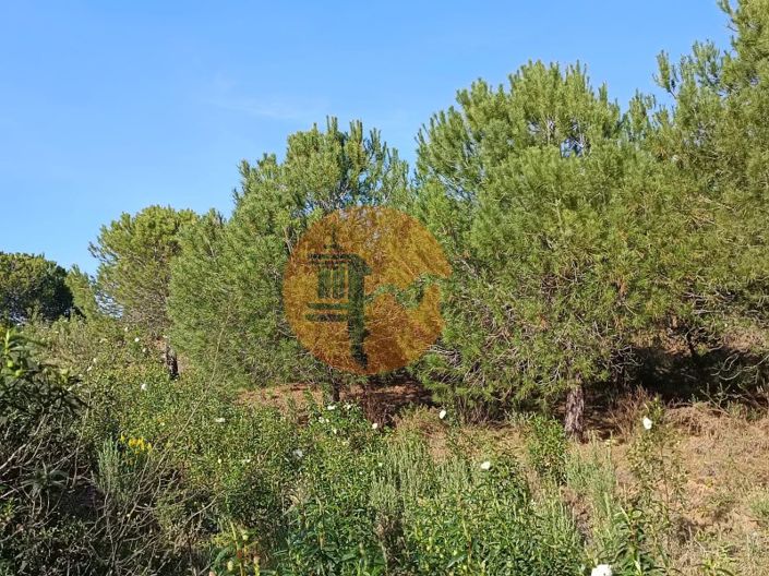 Image No.21-Terrain à vendre à Castro Marim