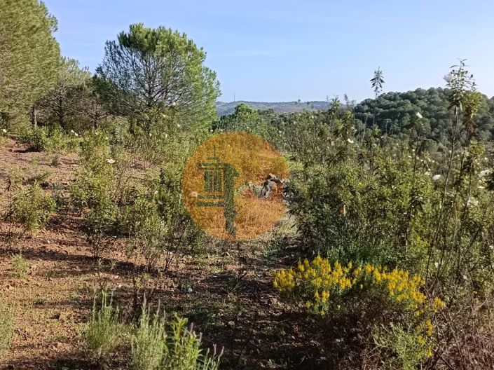 Image No.22-Terrain à vendre à Castro Marim