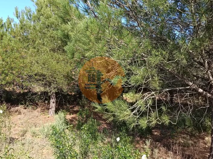 Image No.23-Terrain à vendre à Castro Marim