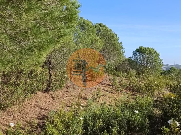 Image No.24-Terrain à vendre à Castro Marim