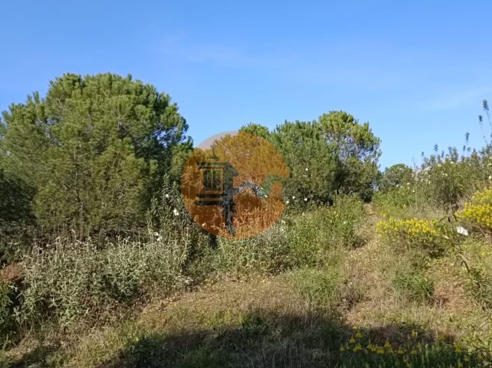 Image No.29-Terrain à vendre à Castro Marim