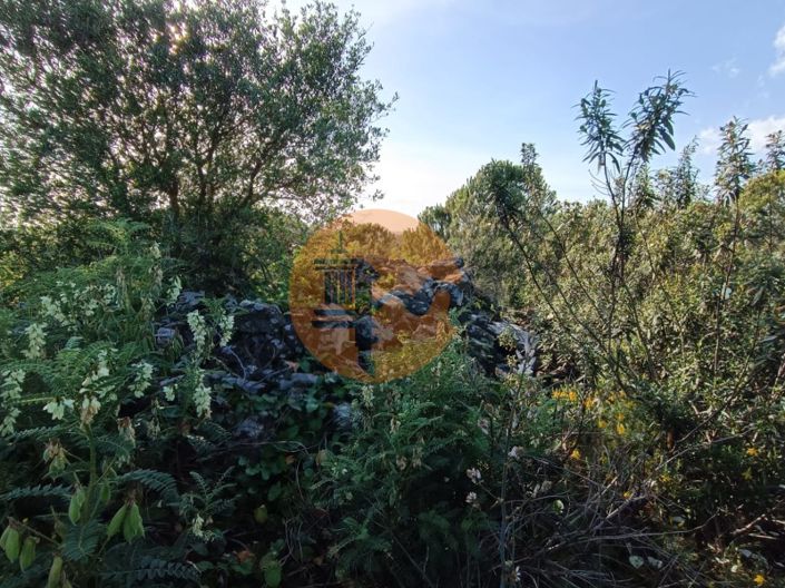 Image No.45-Terrain à vendre à Castro Marim