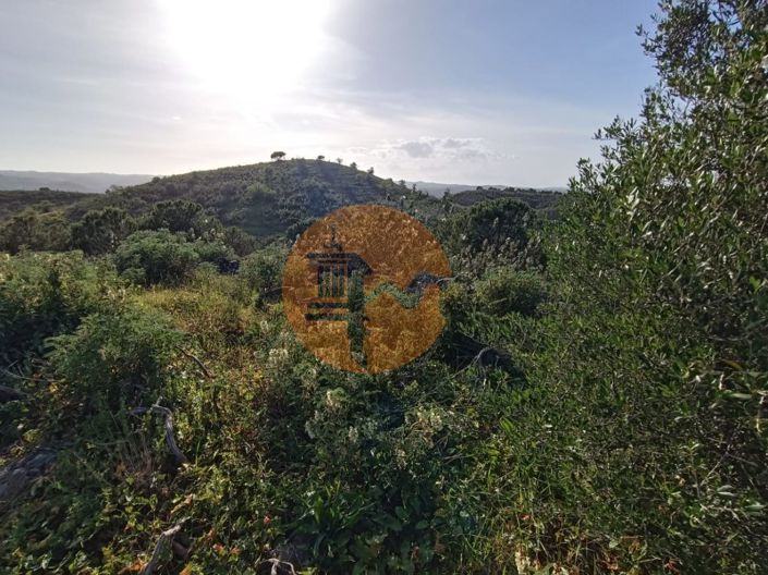 Image No.46-Terrain à vendre à Castro Marim