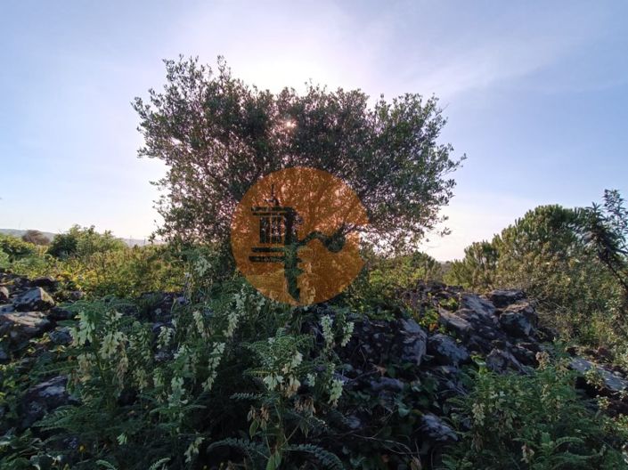 Image No.48-Terrain à vendre à Castro Marim