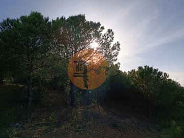 id81946701-0000-0500-0000-0000110e9239