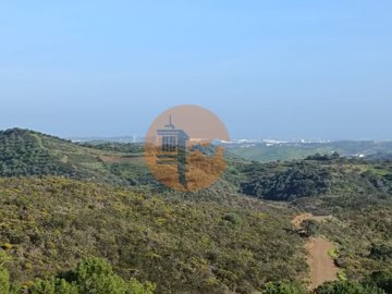 id81946701-0000-0500-0000-0000110e9274