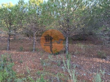 id81946701-0000-0500-0000-0000110e9245