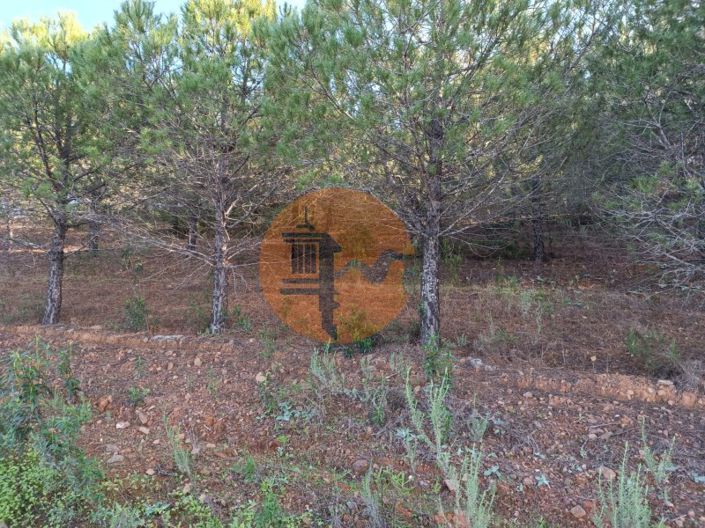 Image No.9-Terrain à vendre à Castro Marim