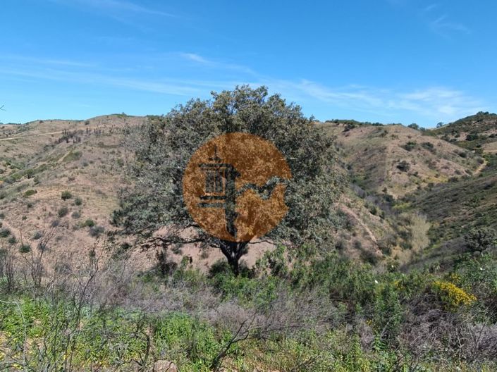 Image No.15-Terrain à vendre à Castro Marim