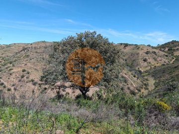 id7b286901-0000-0500-0000-0000111c9fd3