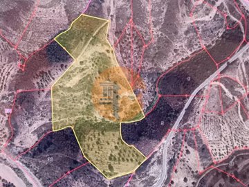 id7b286901-0000-0500-0000-0000111c9fca