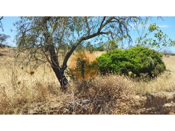 id33bda301-0000-0500-0000-000016f7846f