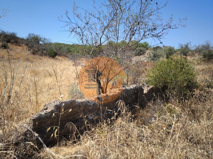 Image No.16-Terrain à vendre à Alcoutim