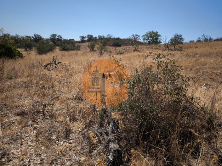 Image No.17-Terrain à vendre à Alcoutim
