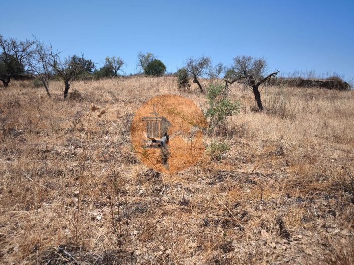 Image No.19-Terrain à vendre à Alcoutim