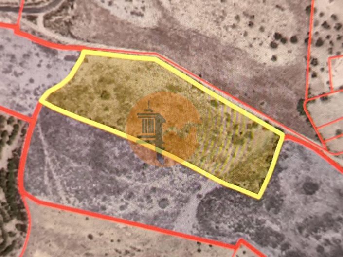 Image No.2-Plot for sale