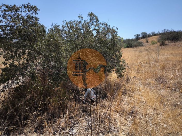 Image No.20-Terrain à vendre à Alcoutim