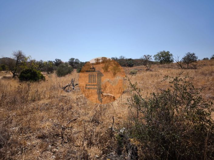 Image No.21-Plot for sale