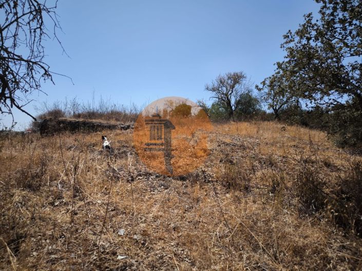 Image No.24-Plot for sale