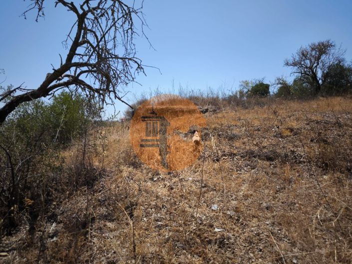 Image No.26-Terrain à vendre à Alcoutim