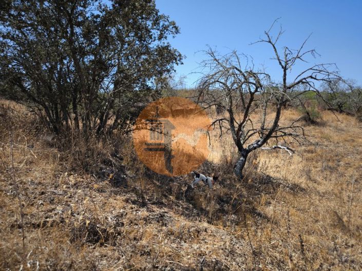 Image No.28-Plot for sale