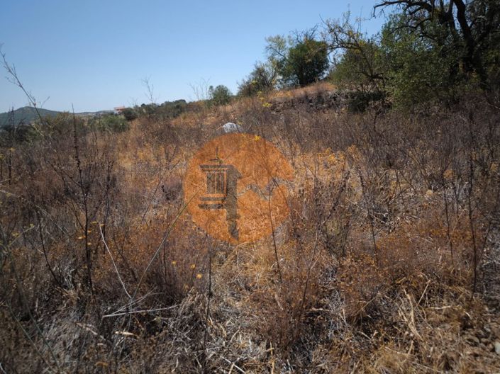 Image No.28-Plot for sale