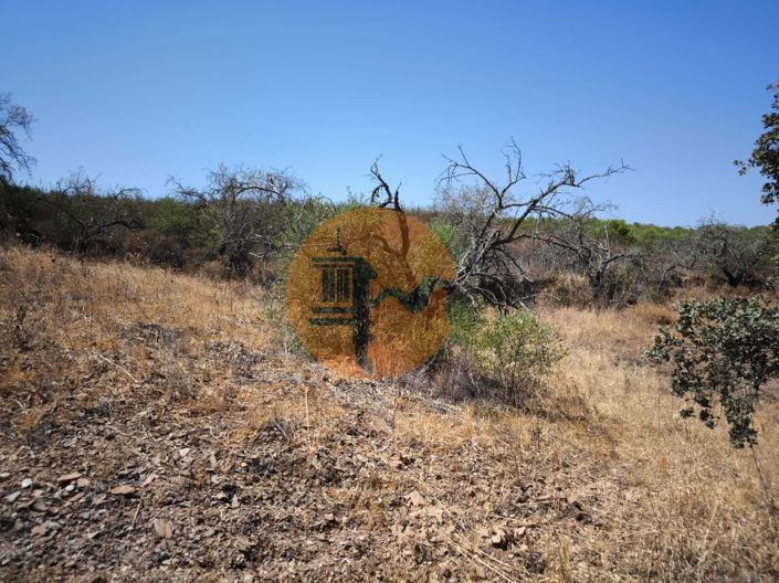 Image No.30-Terrain à vendre à Alcoutim