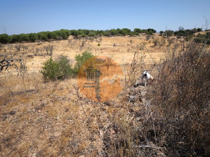 Image No.35-Terrain à vendre à Alcoutim