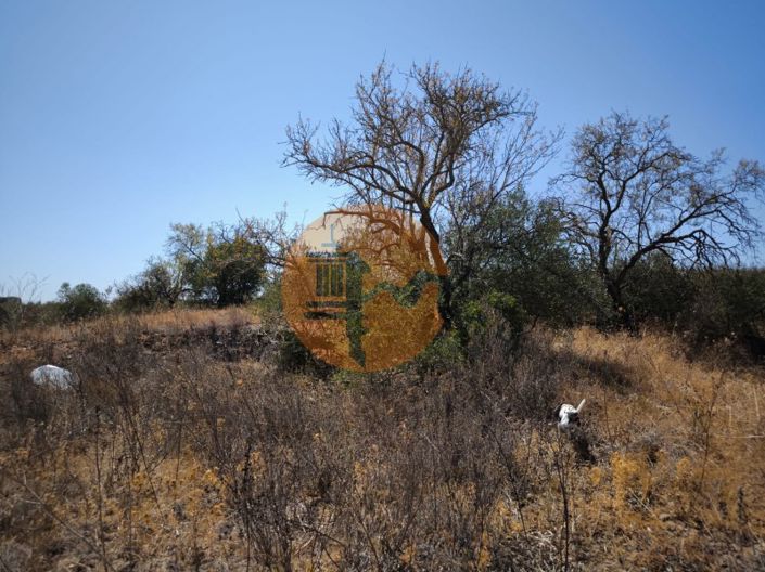 Image No.36-Terrain à vendre à Alcoutim