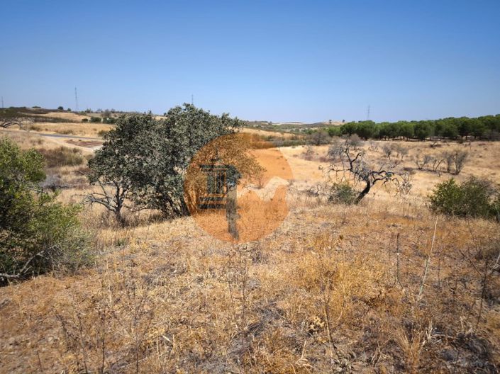 Image No.36-Plot for sale