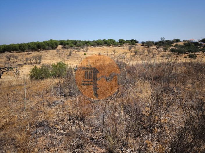 Image No.38-Terrain à vendre à Alcoutim