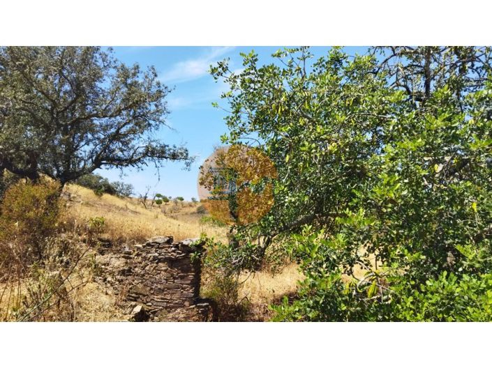 Image No.42-Terrain à vendre à Alcoutim