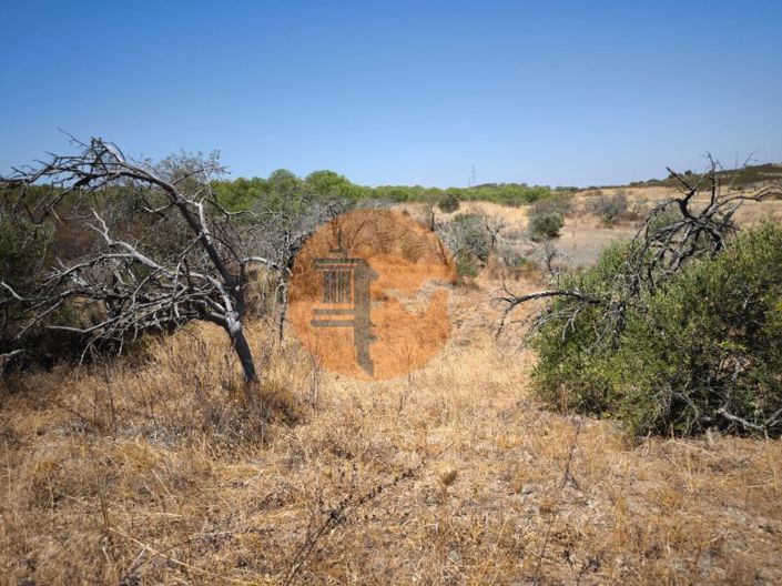 Image No.43-Terrain à vendre à Alcoutim