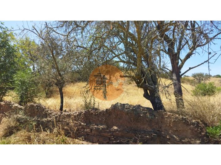 Image No.44-Plot for sale