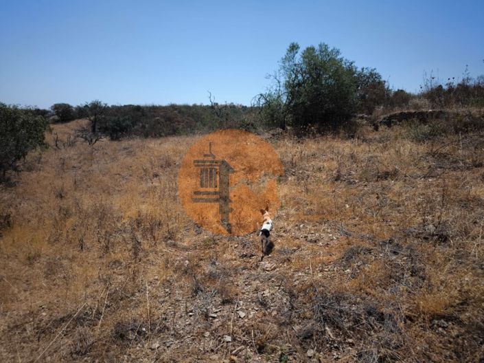 Image No.48-Plot for sale