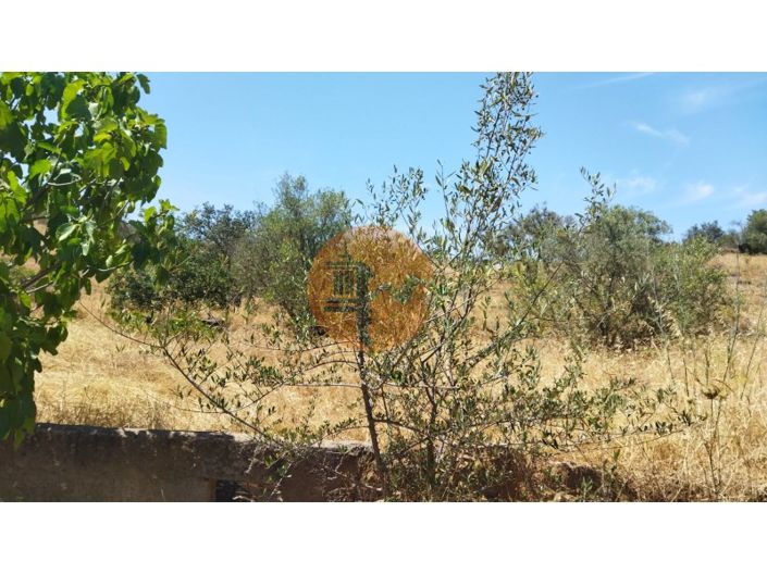 Image No.5-Plot for sale