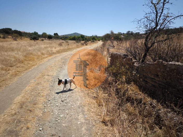 Image No.52-Plot for sale