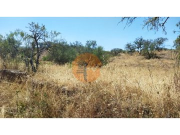 id33bda301-0000-0500-0000-000016f78467