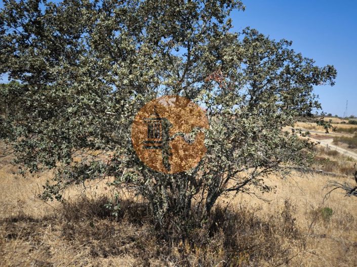 Image No.7-Plot for sale