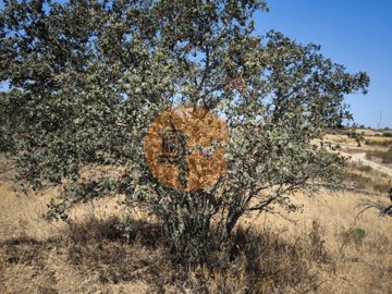 id33bda301-0000-0500-0000-000016f78c4e