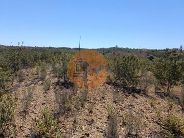 id55c26a01-0000-0500-0000-00001142d0a5