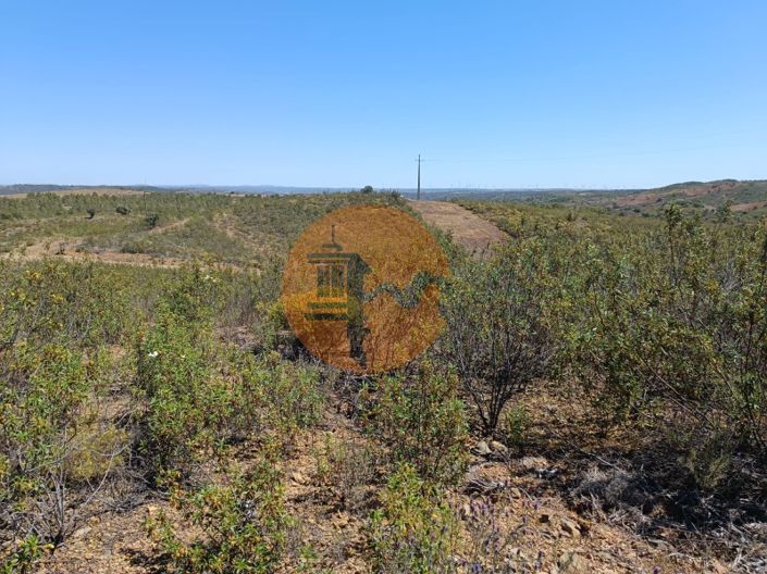 Image No.12-Plot for sale