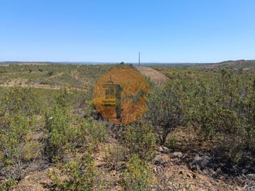 id55c26a01-0000-0500-0000-00001142d0a6