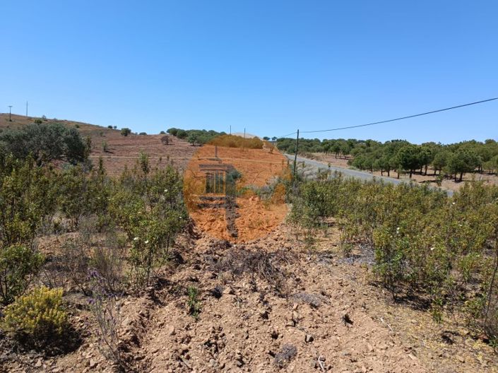 Image No.14-Plot for sale