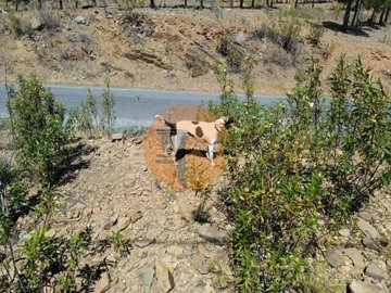 id55c26a01-0000-0500-0000-00001142d0a2