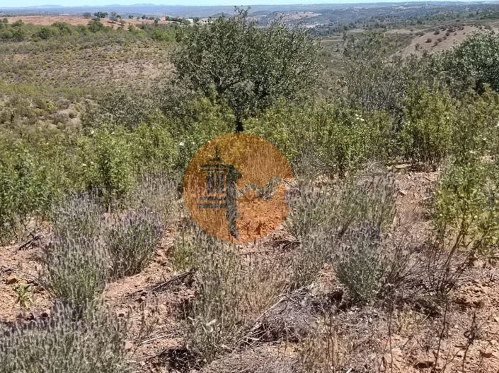 Image No.33-Plot for sale